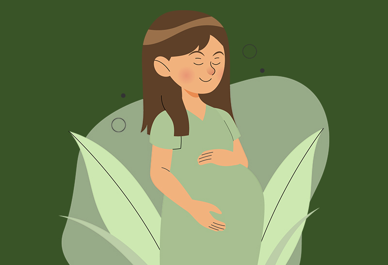 Pregnancy Image
